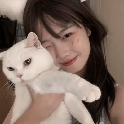 口袋之旅h5在线玩下载